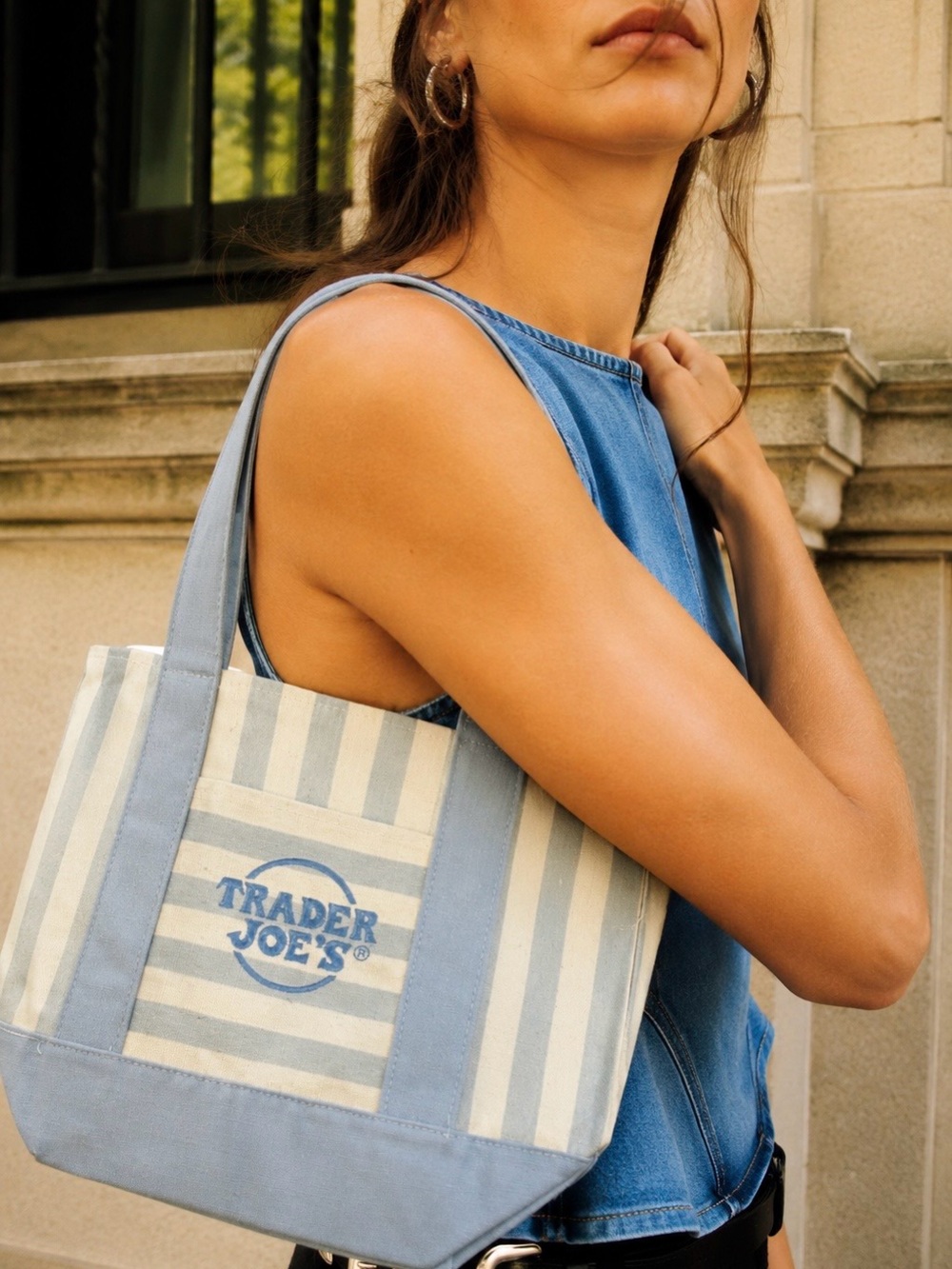 Trader Joe's Pastel Stripe Canvas Totes  - Blue